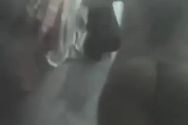 Ngintip Bbw Mandi Bh Hijau